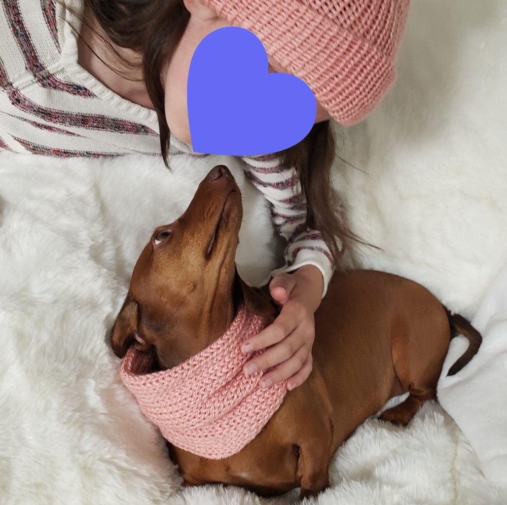Dog Scarf and Human Hat - Matching Set (2 pieces) Hand Knit Handmade - 3 sizes - Picture 16 of 16